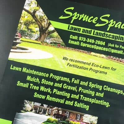 Printed business flyer